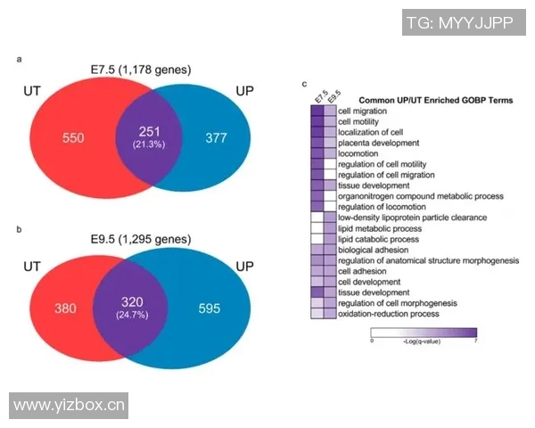 数据分析揭示WE团队成员心理素质的多维表现与影响因素探讨